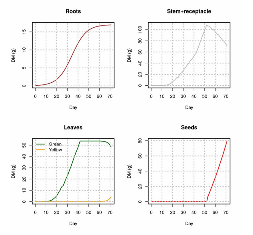 plant_growth_stics